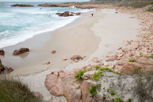 Plantas Rocas Forcados Point Beach Costa Muerte Galicia España —  Fotos de Stock