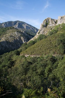 Picos de Europa Dağ Sıraları Labra, Austurias; İspanya
