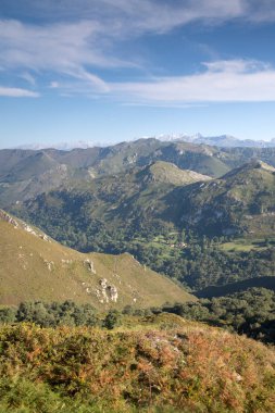 Picos de Europa Dağları Alto del Torno; Austurias; İspanya