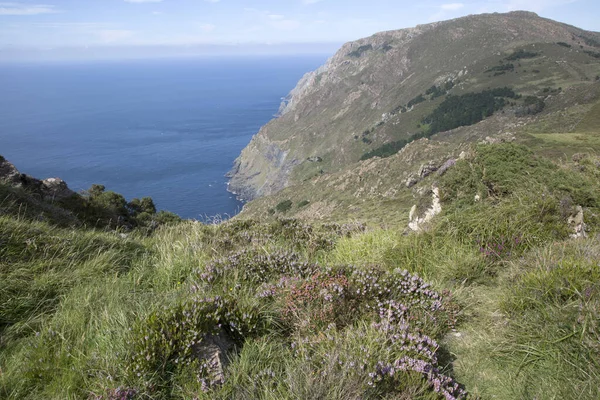 Klippe Bei Vixia Herbeira Ortigueira Galicien Spanien — Stockfoto