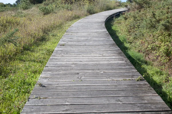 Footpath Valdovino Beach Galicia Spanyolország — Stock Fotó