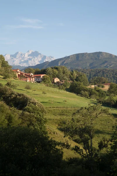 Гора Пікос Європа Поблизу Лабри Аустурія Іспанія — стокове фото