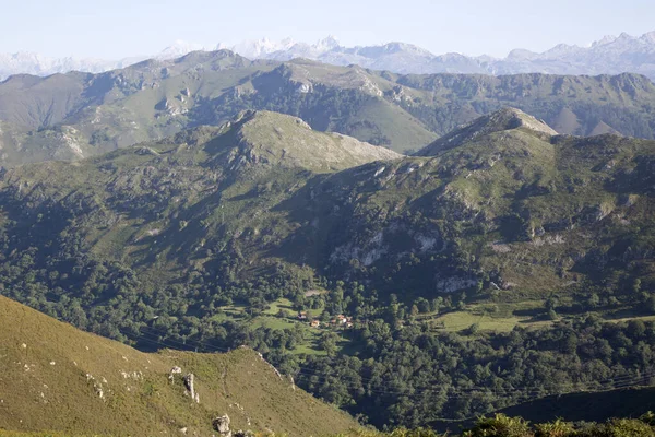 Picos Europa Mountains Från Alto Del Torno Austurias Spanien — Stockfoto