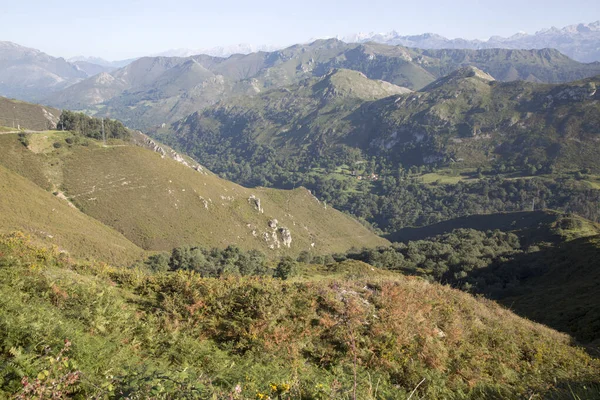 Picos Europa Mountains Från Alto Del Torno Austurias Spanien — Stockfoto