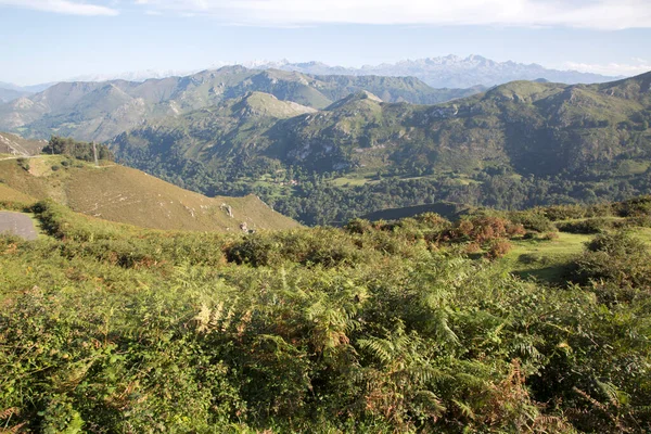 Picos Europa Mountain Från Alto Del Torno Austurias Spanien — Stockfoto