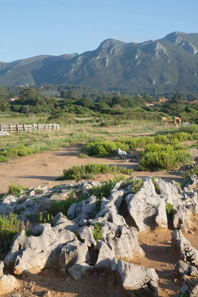 Bufones Pria Austurias Spanien — Stockfoto