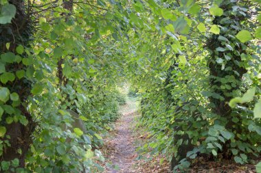 Green Footpath, Burford, Oxfordshire, İngiltere, İngiltere