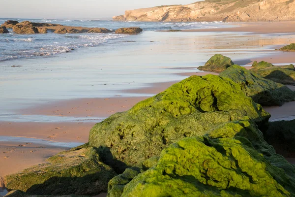 Roche Avec Algues Plage Monte Clerigo Alentejano Portugal — Photo