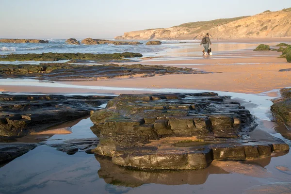 Женщина Собачкой Пляже Озиго Альфахано Португалия Европа — стоковое фото