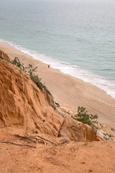 Klippor Vid Falesia Beach Algarve Portugal — Stockfoto