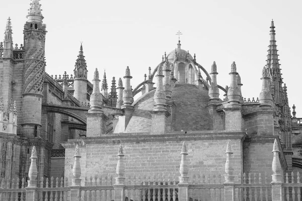 Façade Cathédrale Séville Espagne Noir Blanc Sepia Tone — Photo