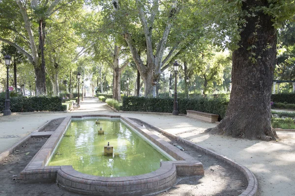 Cristina Gardens Parkı Sevilla Spanya — Stok fotoğraf