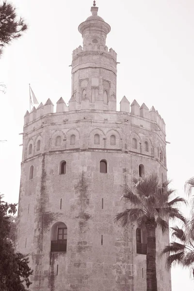 Torre Oro Kulesi Sevilla Spanya — Stok fotoğraf