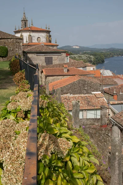 Cathédrale Village Tui Galice Espagne — Photo