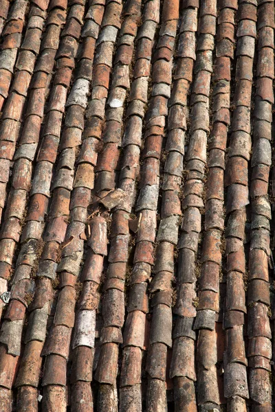 Roof Tiles Tui Galicia 西班牙 — 图库照片