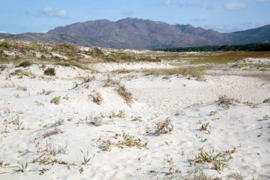 Carmota Kumsalı; Coruna; Galiçya; İspanya