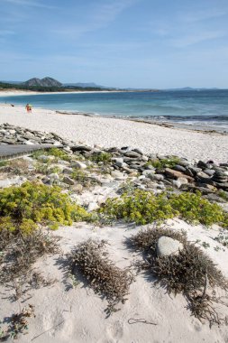Larino Plajı, Coruna; Galiçya; İspanya