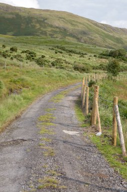 Aasleagh Şelalesi 'ndeki Footpath, Killary Fjord; Connemara Ulusal Parkı; İrlanda