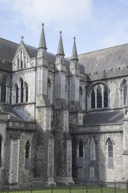 St Patricks Katedrali Cephesi; Dublin; İrlanda