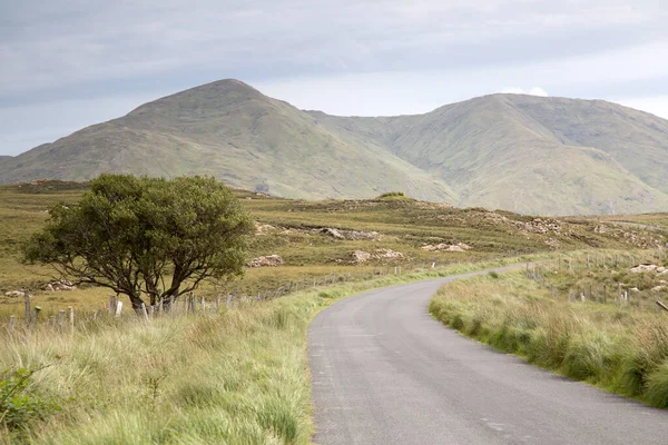 Open Road Connemara National Park Irland — Stockfoto