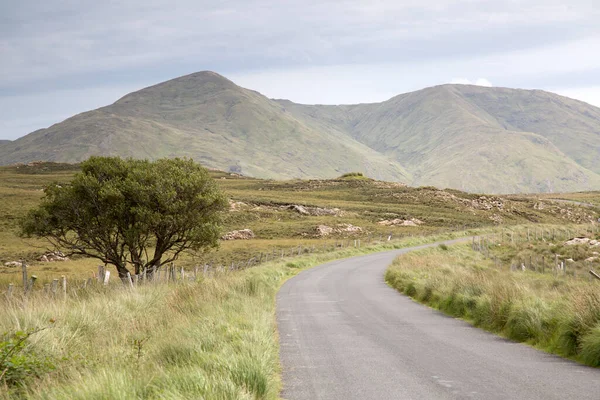 Open Road Connemara National Park Ireland — 图库照片