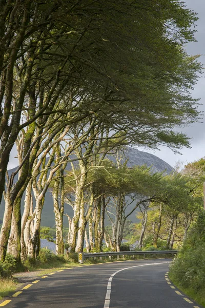 オープンロード Kylemore Lough Lake Connemara国立公園 アイルランド — ストック写真