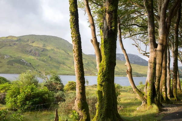 Kylemore Lough Lake Connemara National Park Irland — Stockfoto