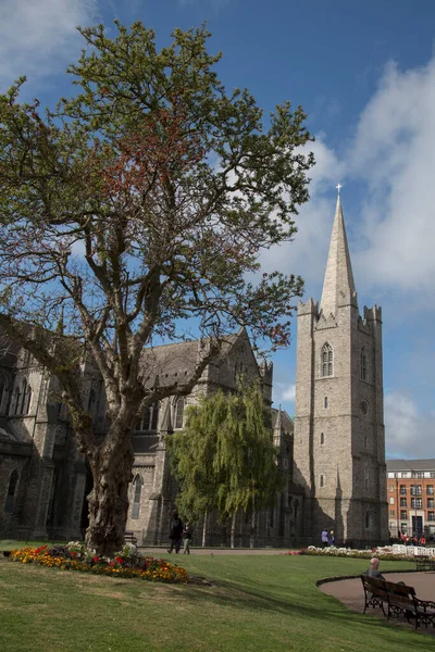Patricks Cathedral Dublin Irland — Stockfoto