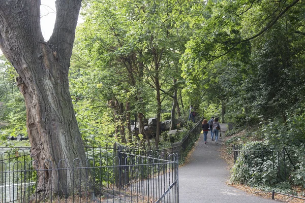 セント スティーブンス グリーン パークの木 ダブリン アイルランド — ストック写真