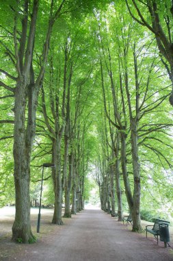 SlottstradGardens Parkı, Malmö; İsveç