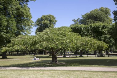 Kings Garden Park; Kopenhag; Danimarka