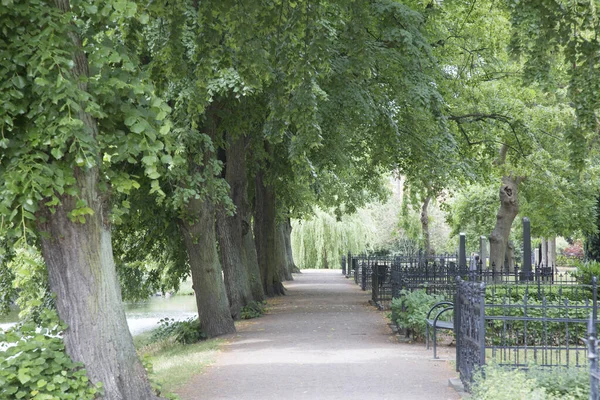 Chemin Dans Old Cemetery Park Malmo Suède — Photo