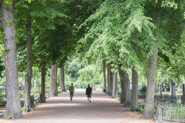 Chemin Dans Old Cemetery Park Malmo Suède — Photo