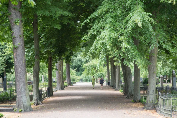 Sentier Pédestre Dans Old Cemetery Park Malmo Suède — Photo