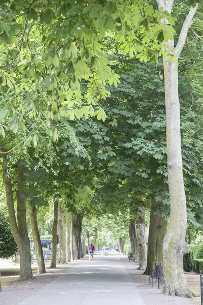 Old Cemetery Park Malmo Sweden — Stock Photo, Image