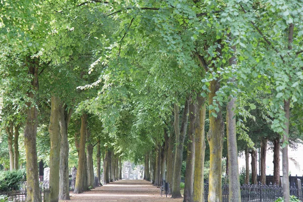 Gamla Kyrkogårdsparken Malmö — Stockfoto