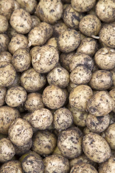 Closeup Potato Background Market Stall — Stock Photo, Image