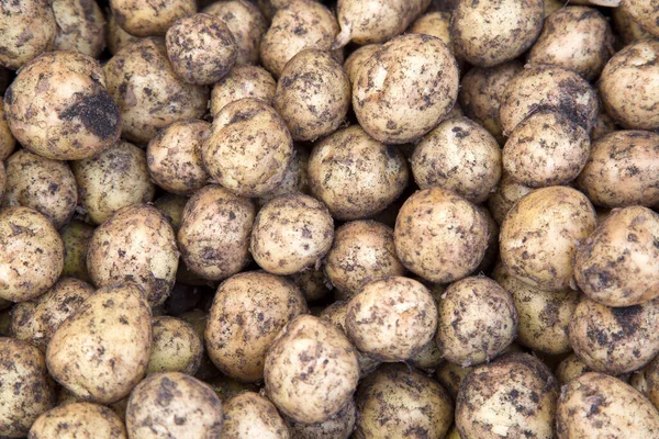 Closeup Potato Background Market Stall — Stock Photo, Image
