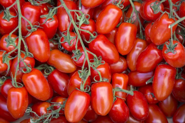 Primer Plano Los Antecedentes Del Tomate Puesto Mercado — Foto de Stock