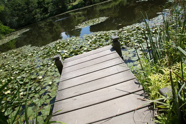 植物園の木製桟橋 コペンハーゲン デンマーク — ストック写真