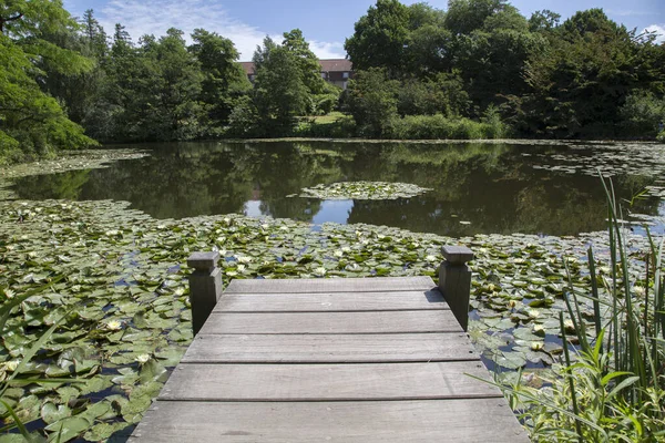 Molo Drewniane Ogród Botaniczny Kopenhaga Dania — Zdjęcie stockowe