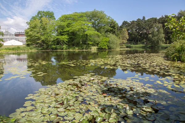 Jezioro Botaniczne Kopenhaga Dania — Zdjęcie stockowe