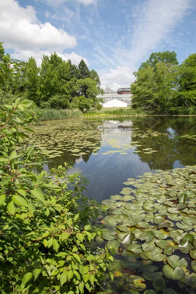 Jezioro Botaniczne Kopenhaga Dania — Zdjęcie stockowe