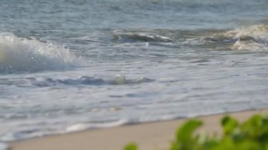Kıyı şeridine çarpan dalganın kısa bir görüntüsü