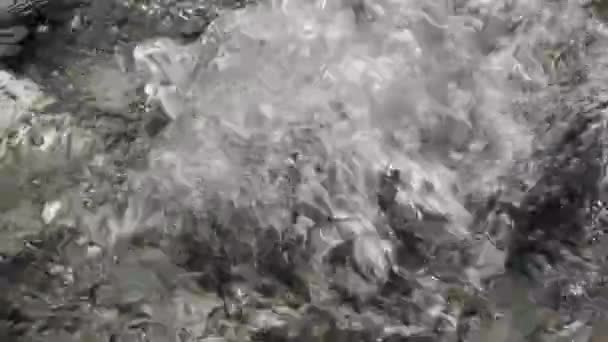 Wasser Aus Undichtem Schlauch Teich — Stockvideo