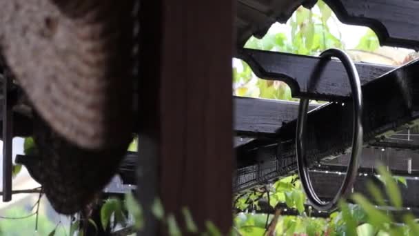 大雨洒落在木制花园装饰品上 — 图库视频影像