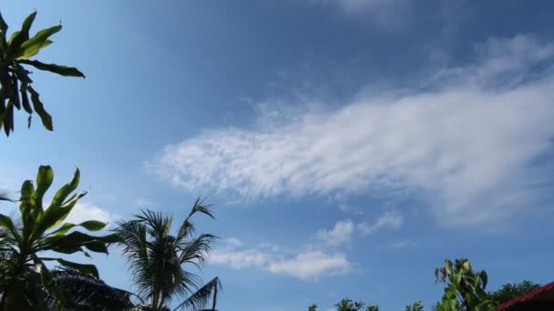 stock video Blue sky morning time lapse in 4K