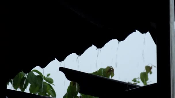 Heavy Rain Pouring Roof — Stock Video