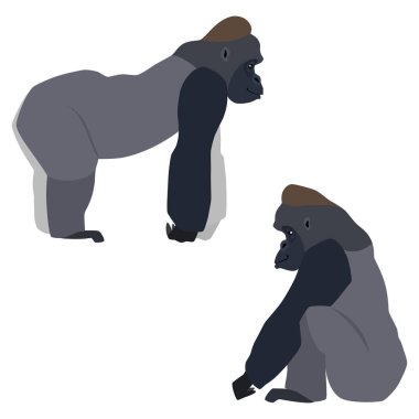 Ayakta ve beyaz arka plan üzerinde izole oturma goriller vektör çizimi