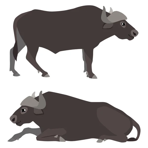 Ilustração Vetorial Búfalos Africanos Deitados Isolados Sobre Fundo Branco —  Vetores de Stock